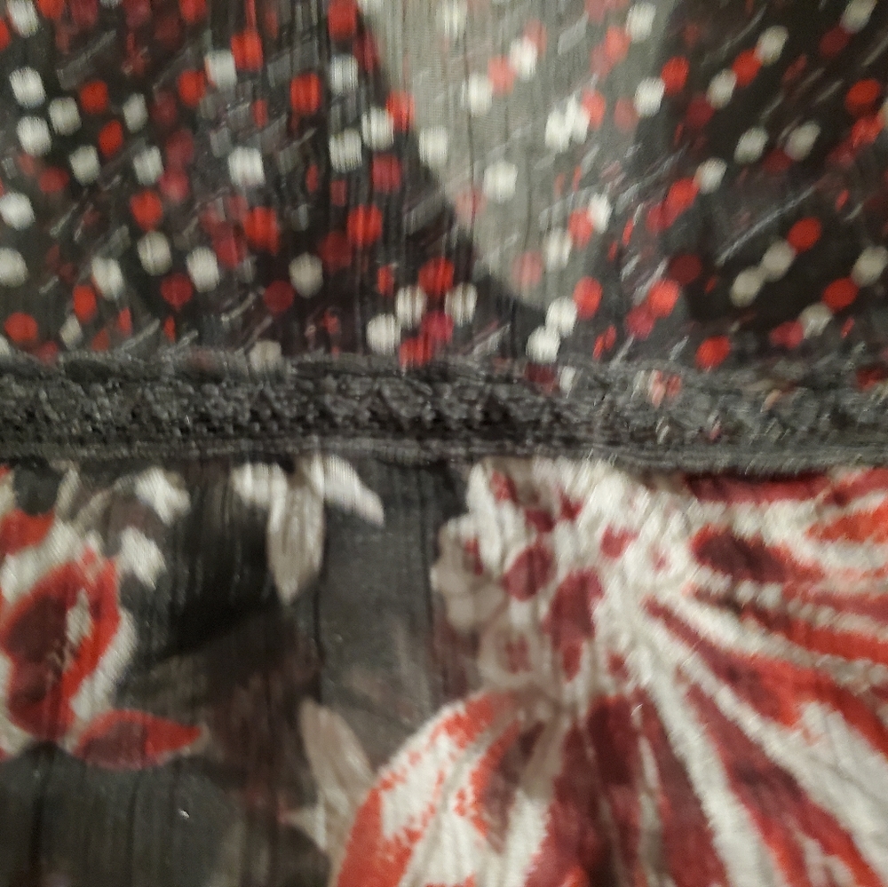 Sheer Blouse - image 5